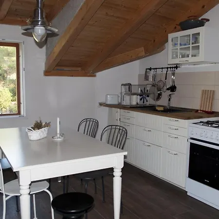 By The Sea Cove Salbunara - Bisevo, Vis - 12700 דירה *